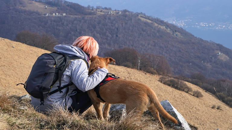 passeggiate a 6 zampe