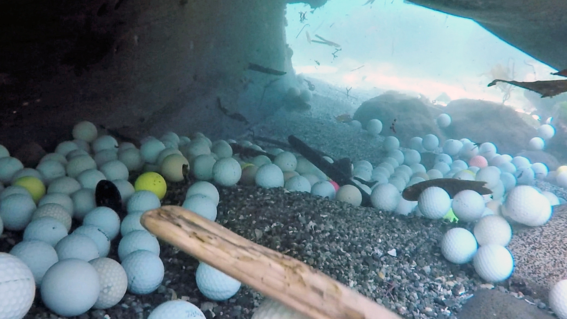 Palline da golf oceano