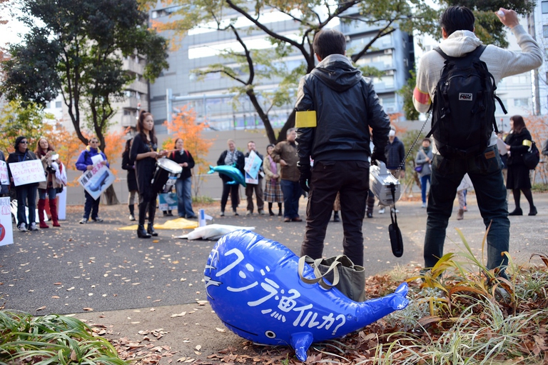 Manifestazione in favore delle balene in Giappone