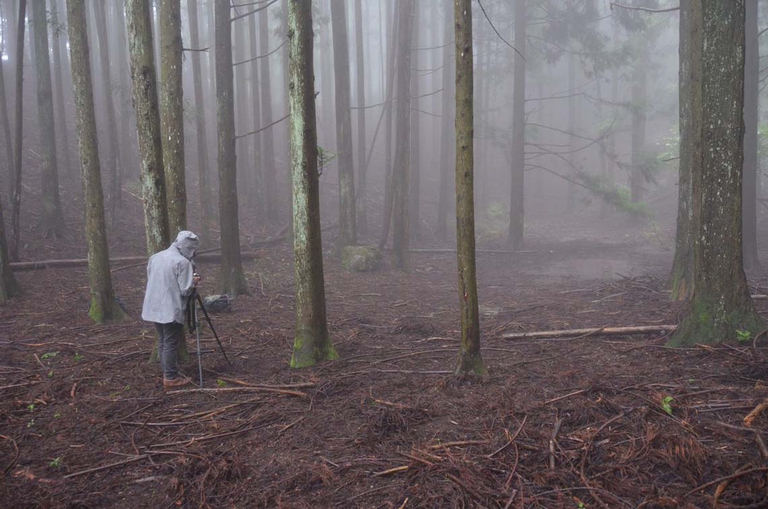 Shin Sasakubo fotografa la foresta alle spalle del monte Buko