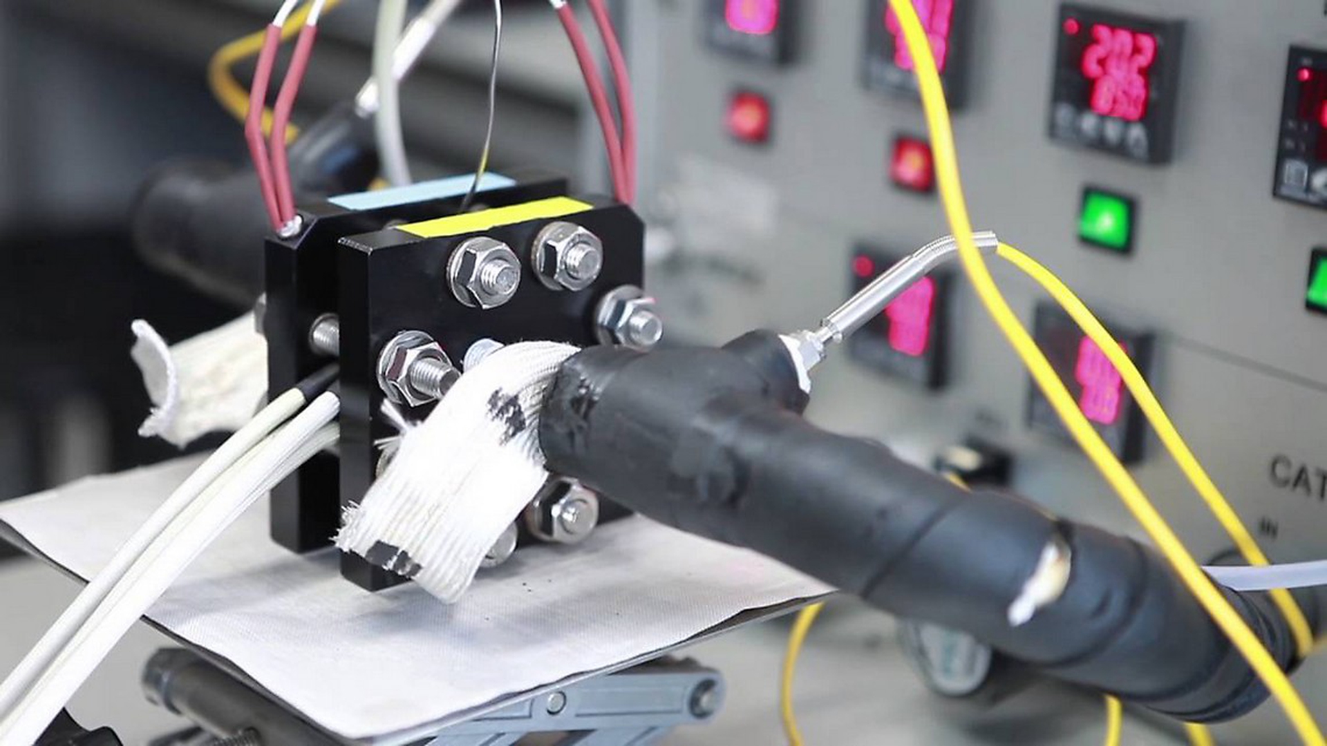 Grazie ai cactus, le auto a idrogeno saranno più leggere ed efficienti