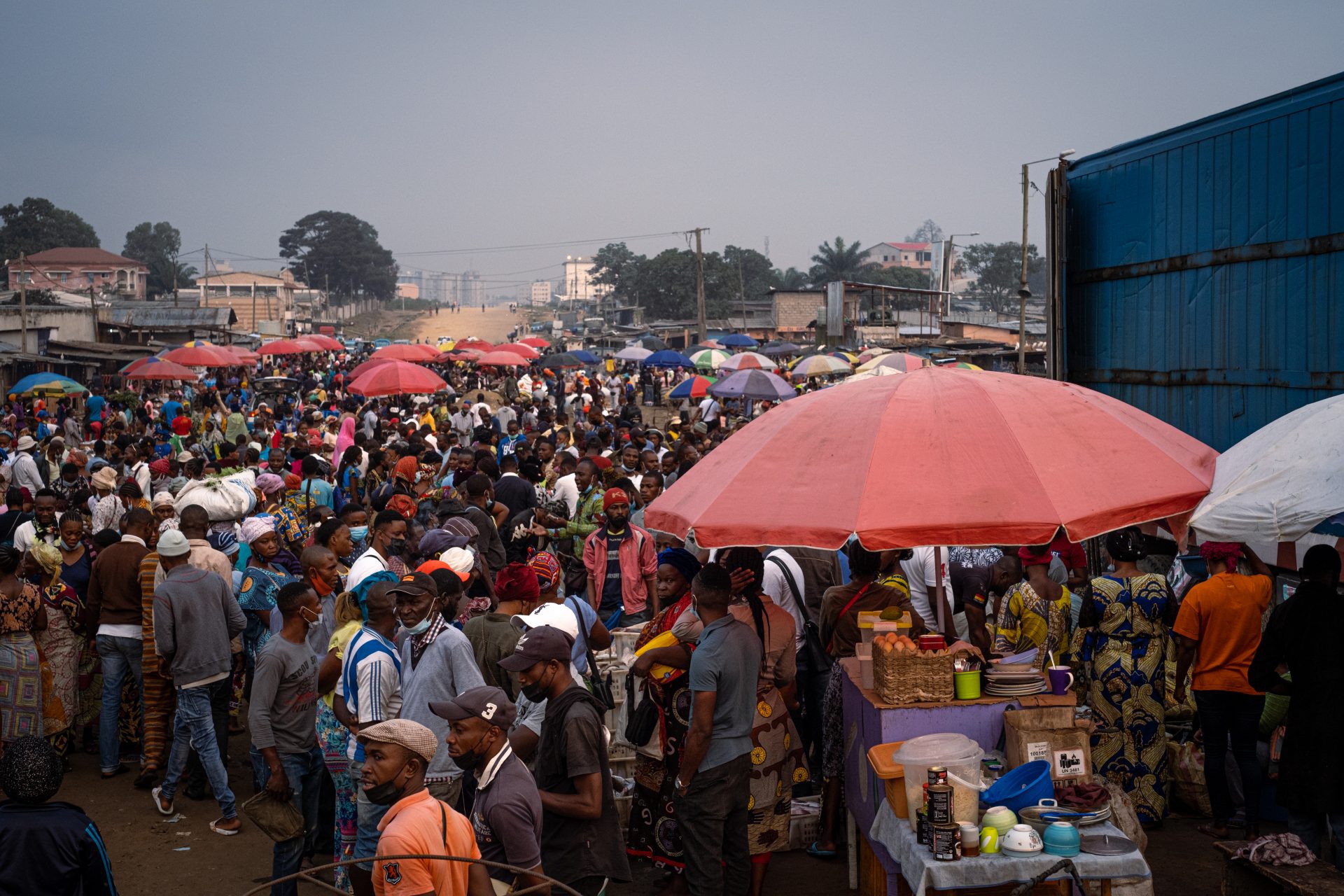 Foto squali Congo-diciotto