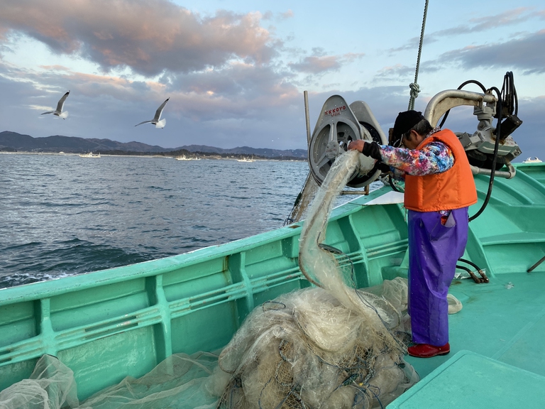 Fisherman in the port of Shinchi