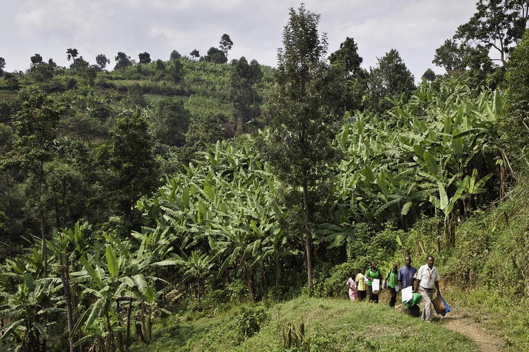 Il land grabbing genera autentiche deportazioni
