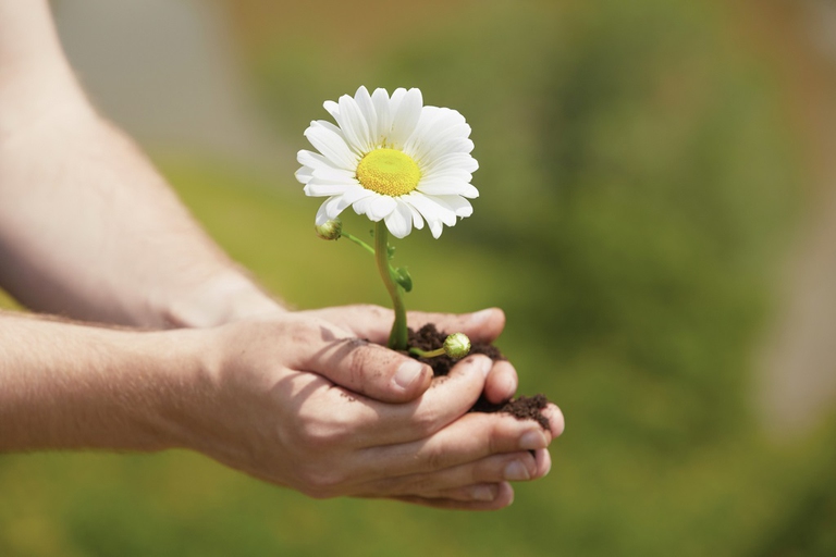 giornata della terra