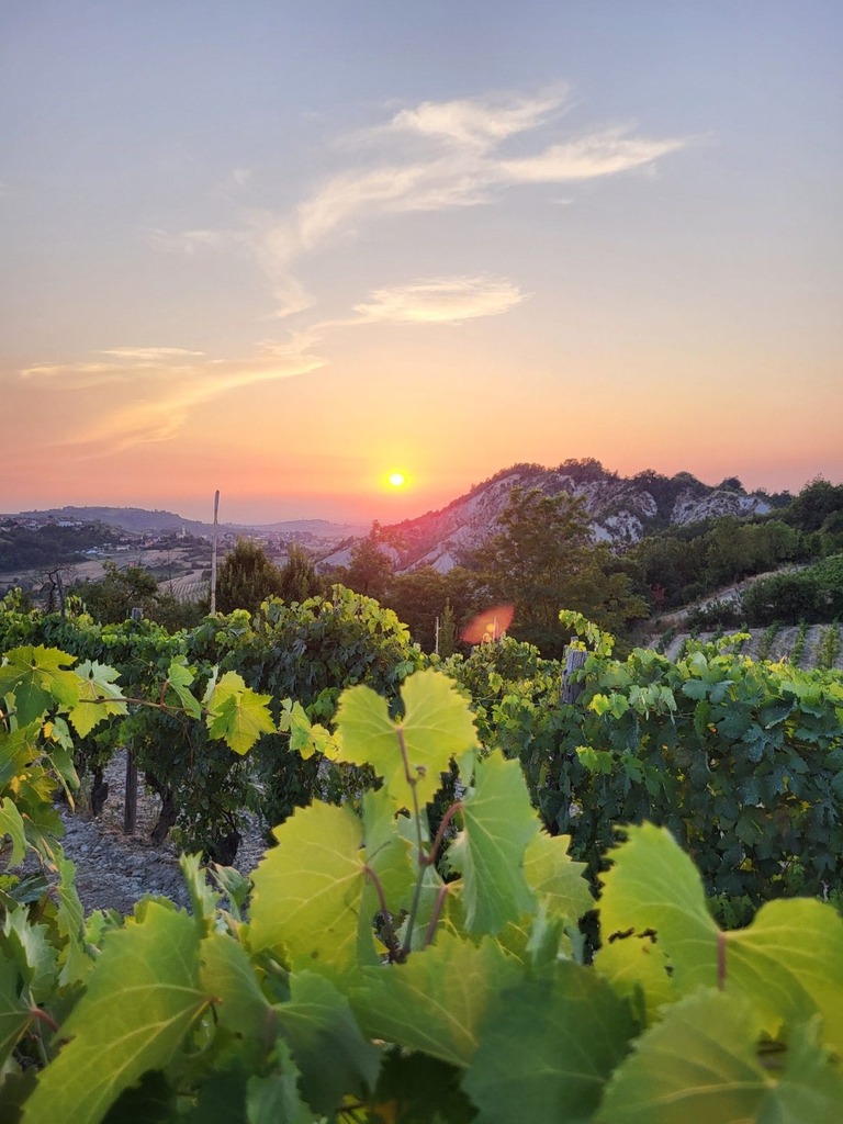 Un tramonto a Costa Vescovato