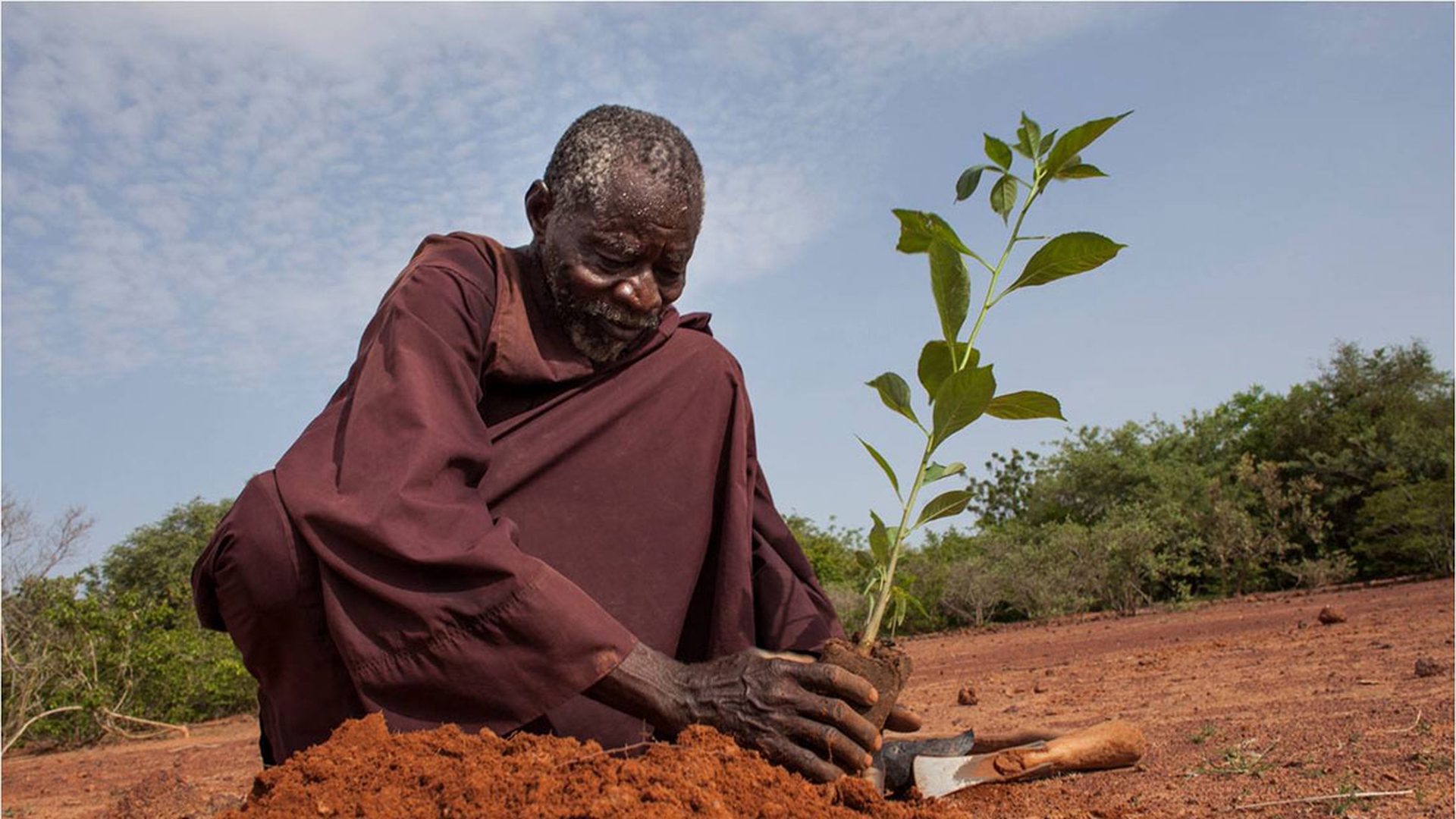 Yacouba Sawadogo The African Farmer Who Stopped The Desert Yacouba Sawadogo The African Farmer Who Stopped The Desert