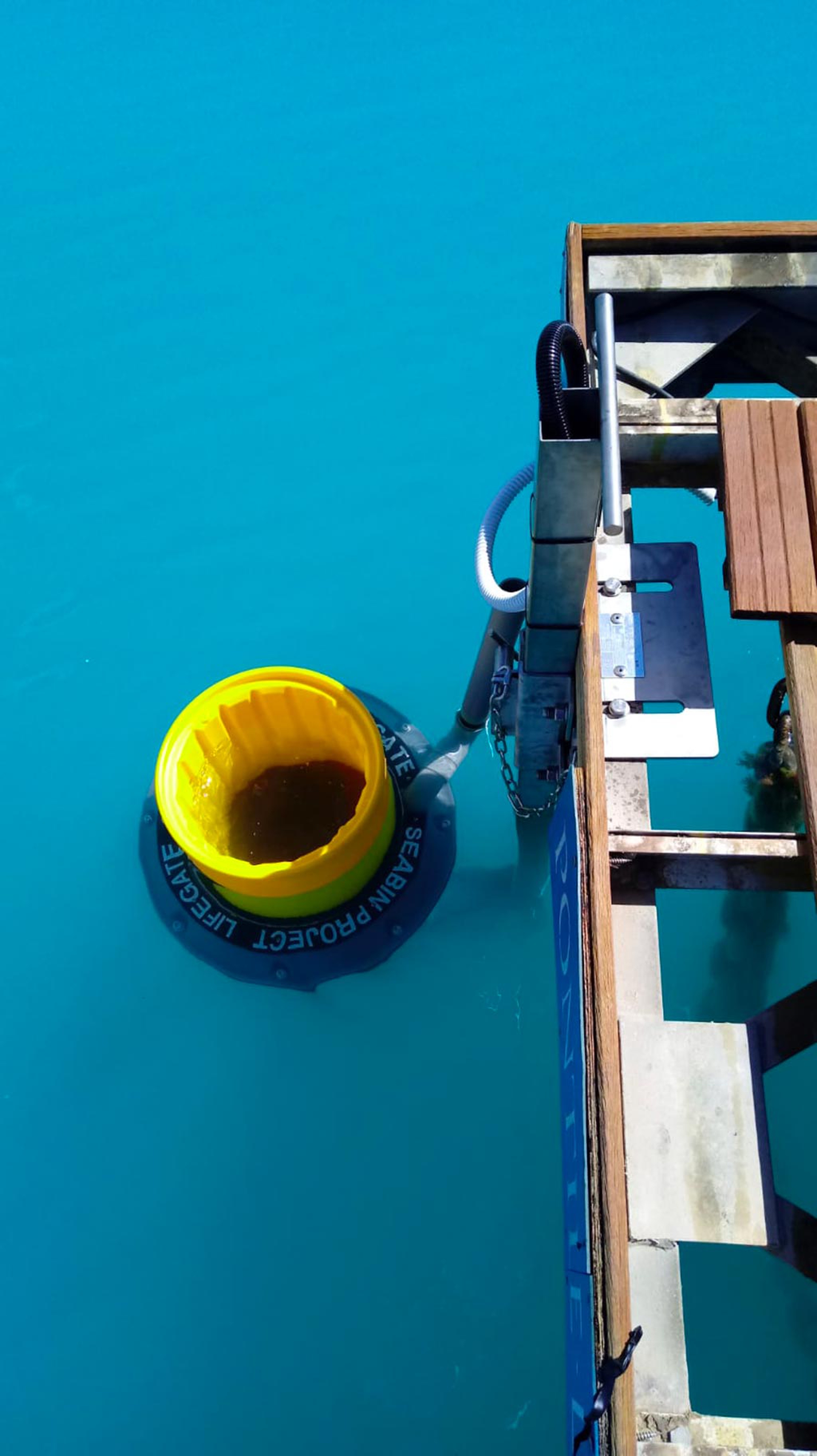 Il dispositivo raccoglie le microplastiche