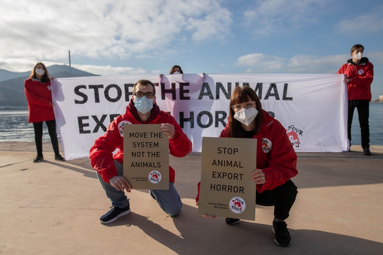 Le proteste al porto di Cartagena