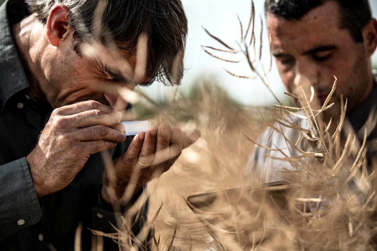 agricoltura rigenerativa biologica