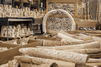 Rome destroys half a tonne of ivory at the Circus Maximus in defence of elephants