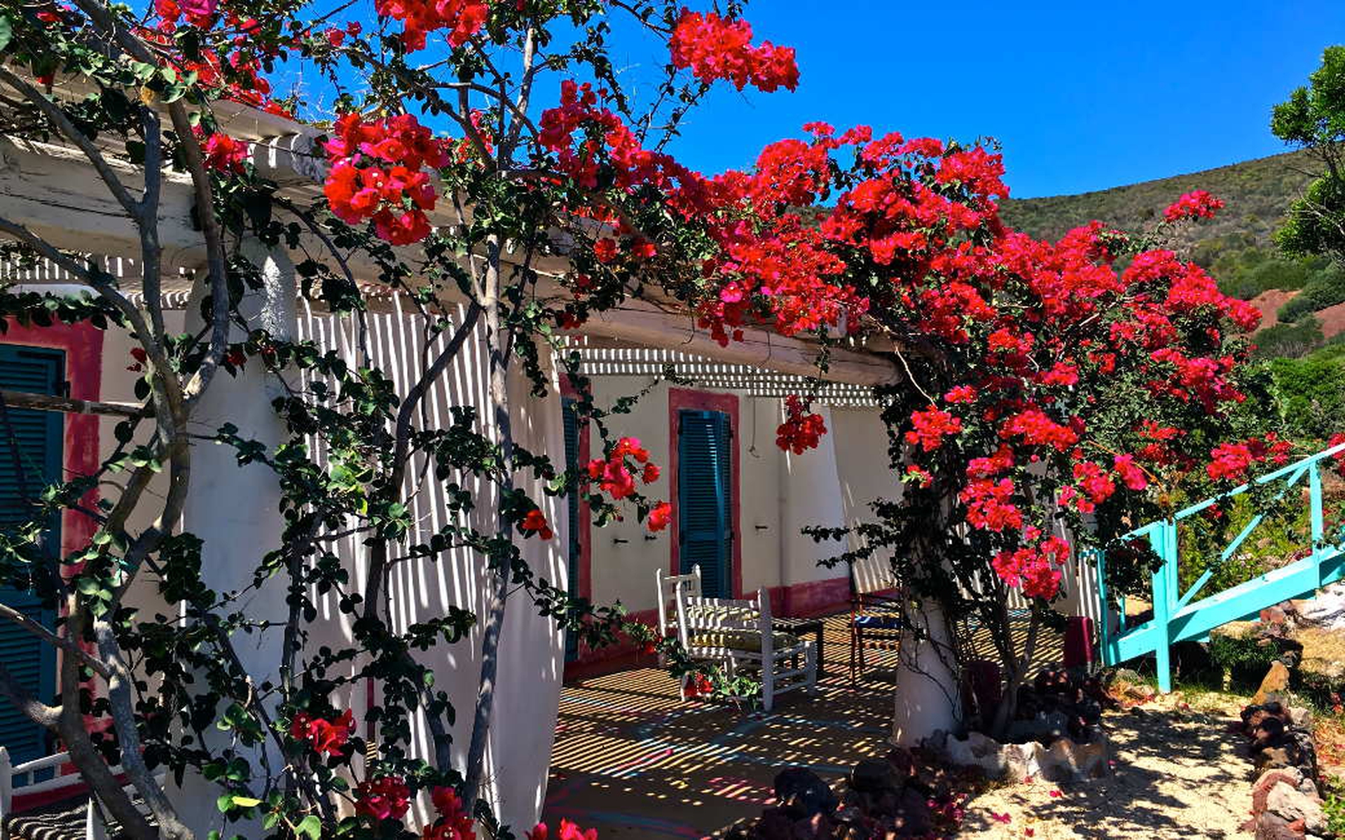 5 vacanze digital detox