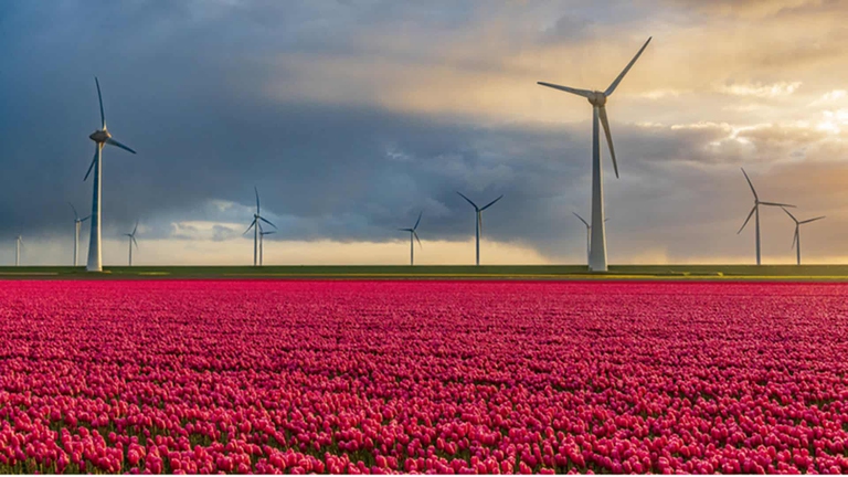 energia eolica in Europa