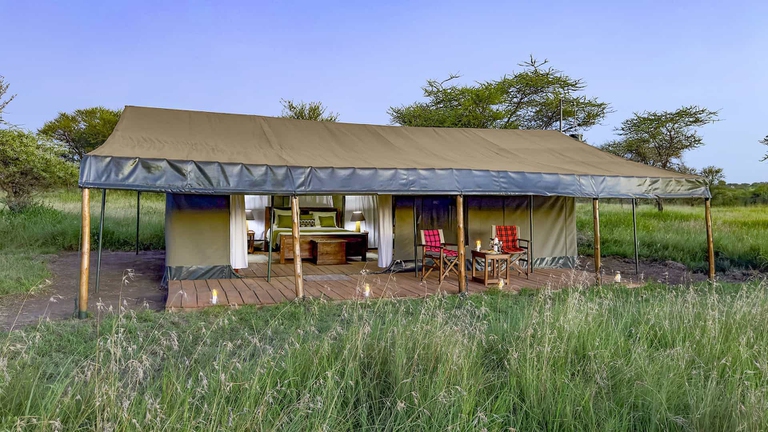 safari tanzania