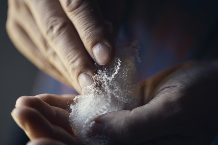 costumi da bagno lana