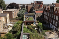 Rooftop and vertical farms in cities, the most advanced projects around the world