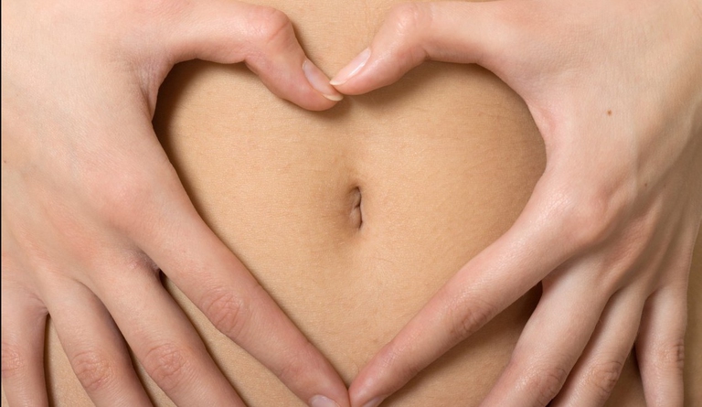 flora batterica sistema immunitario