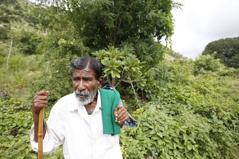 Il pastore indiano Kalmane Kamegowda