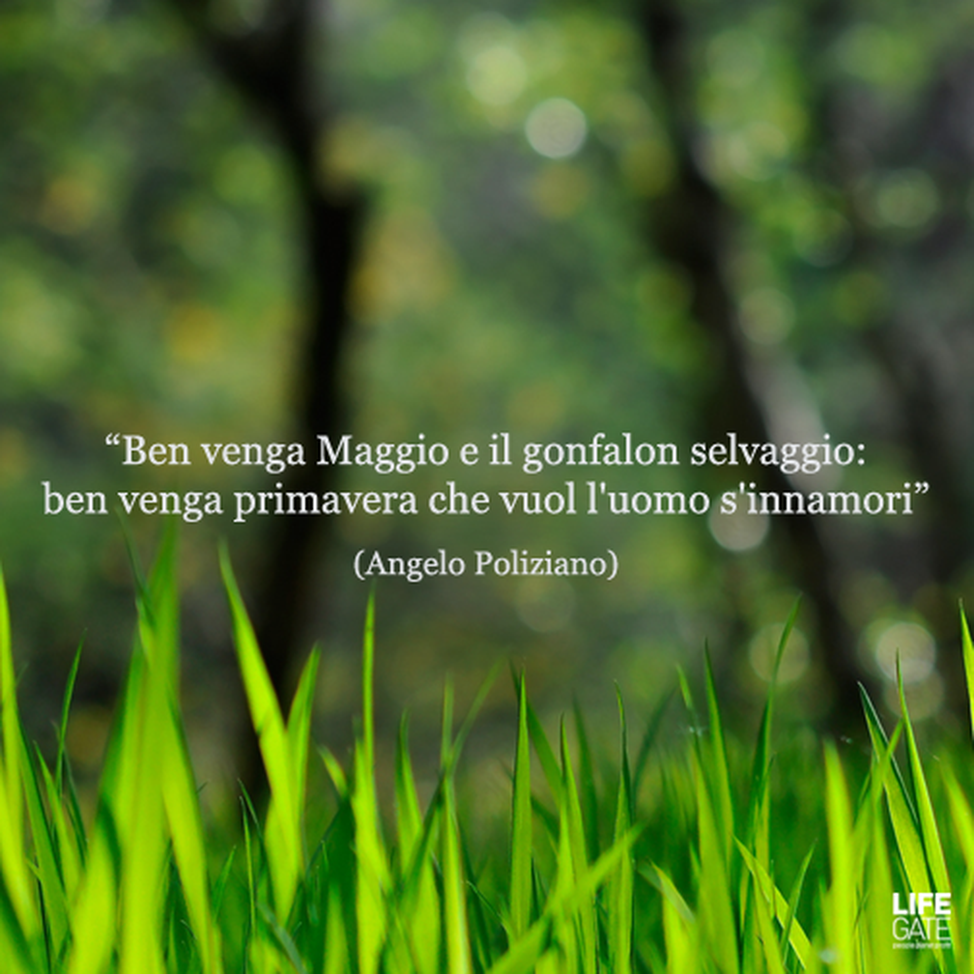 Le citazioni più belle per sempre - Angelo Poliziano