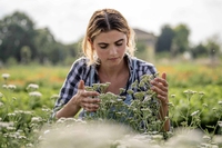 La cosmetica che promuove l’agricoltura rigenerativa biologica