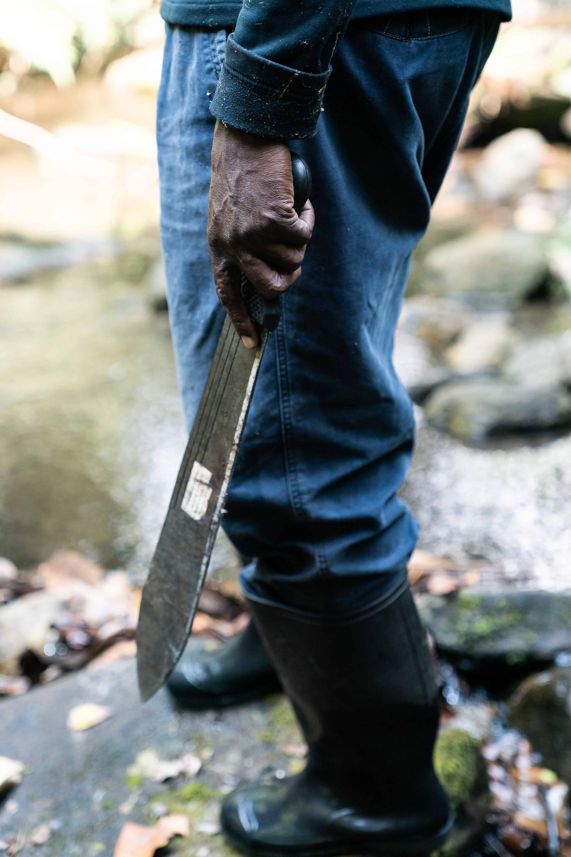 Il progetto di riforestazione Udzungwa corridor limited in Tanzania