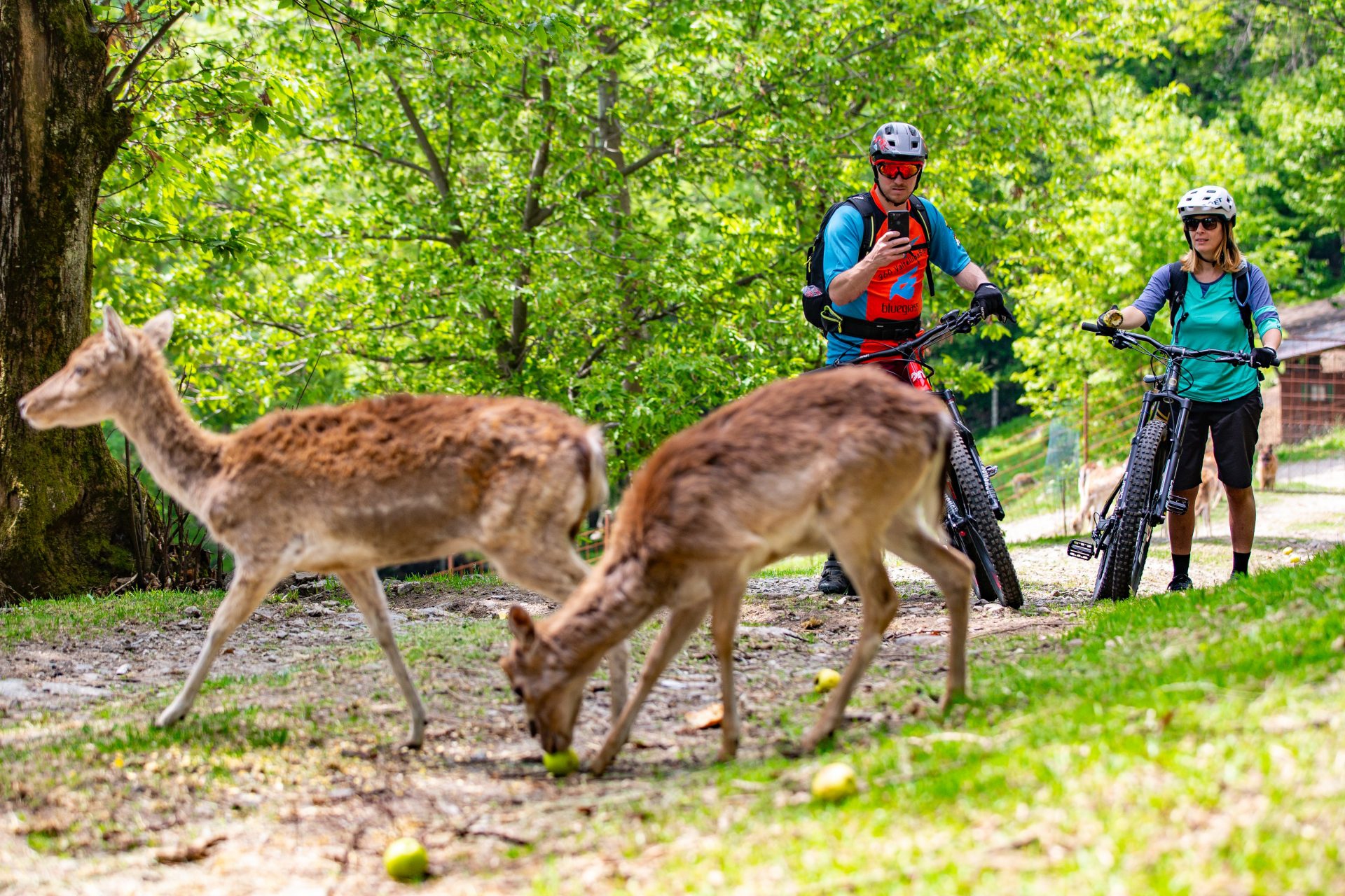 Valtellina Ebike Festival - Morbegno - Ph Eze Urrets (5)