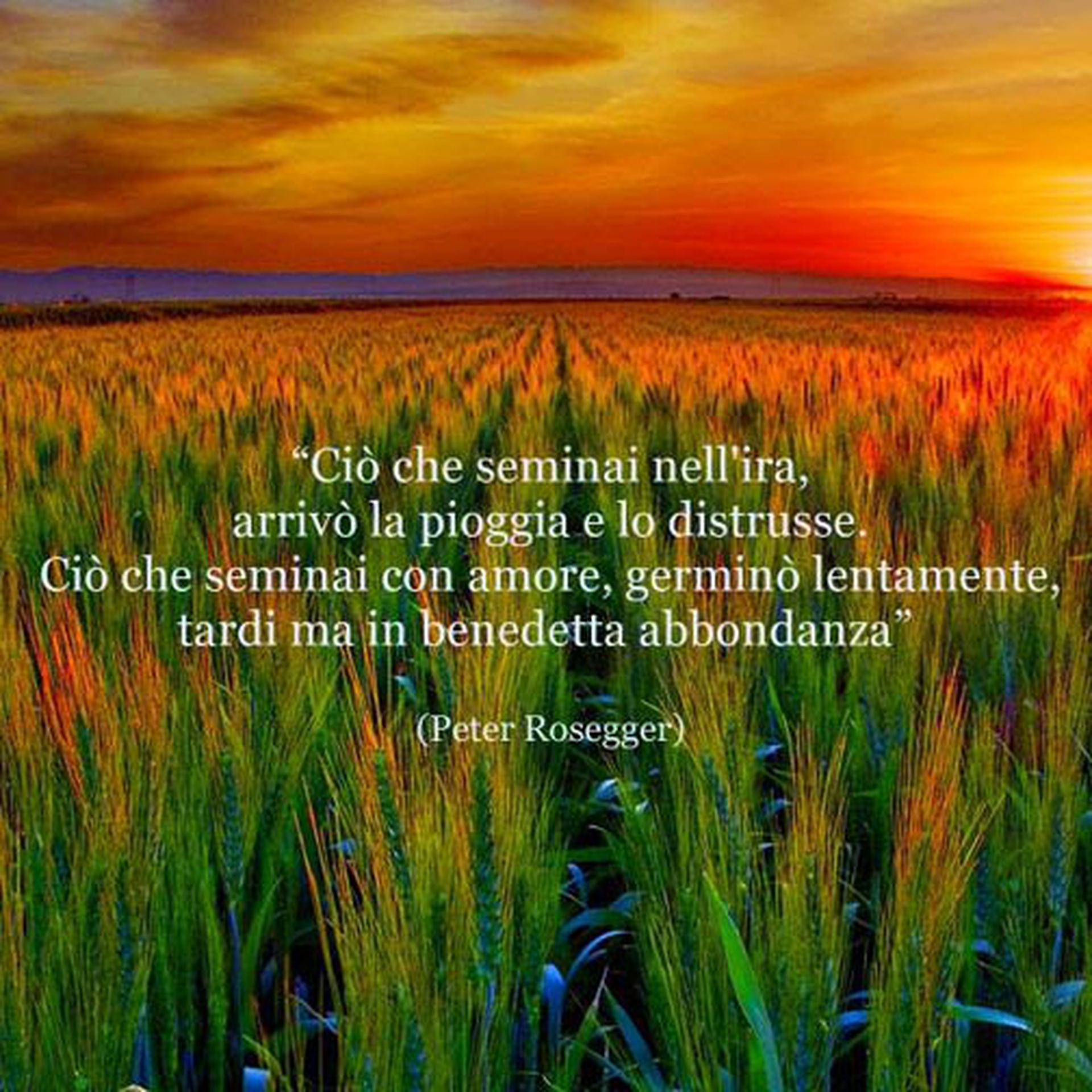 Le citazioni più belle per sempre - Peter Rosegger