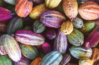 Menakao, dal Madagascar il cioccolato sostenibile dell’isola rossa