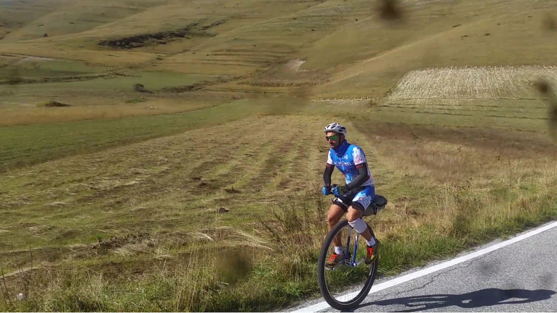 Monomela tra i prati