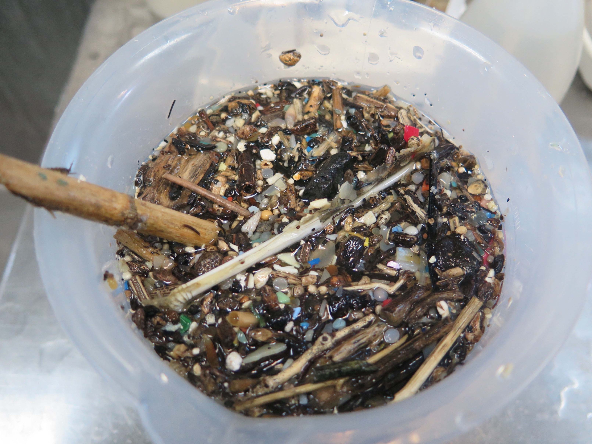 Il Mediterraneo invaso dalla plastica