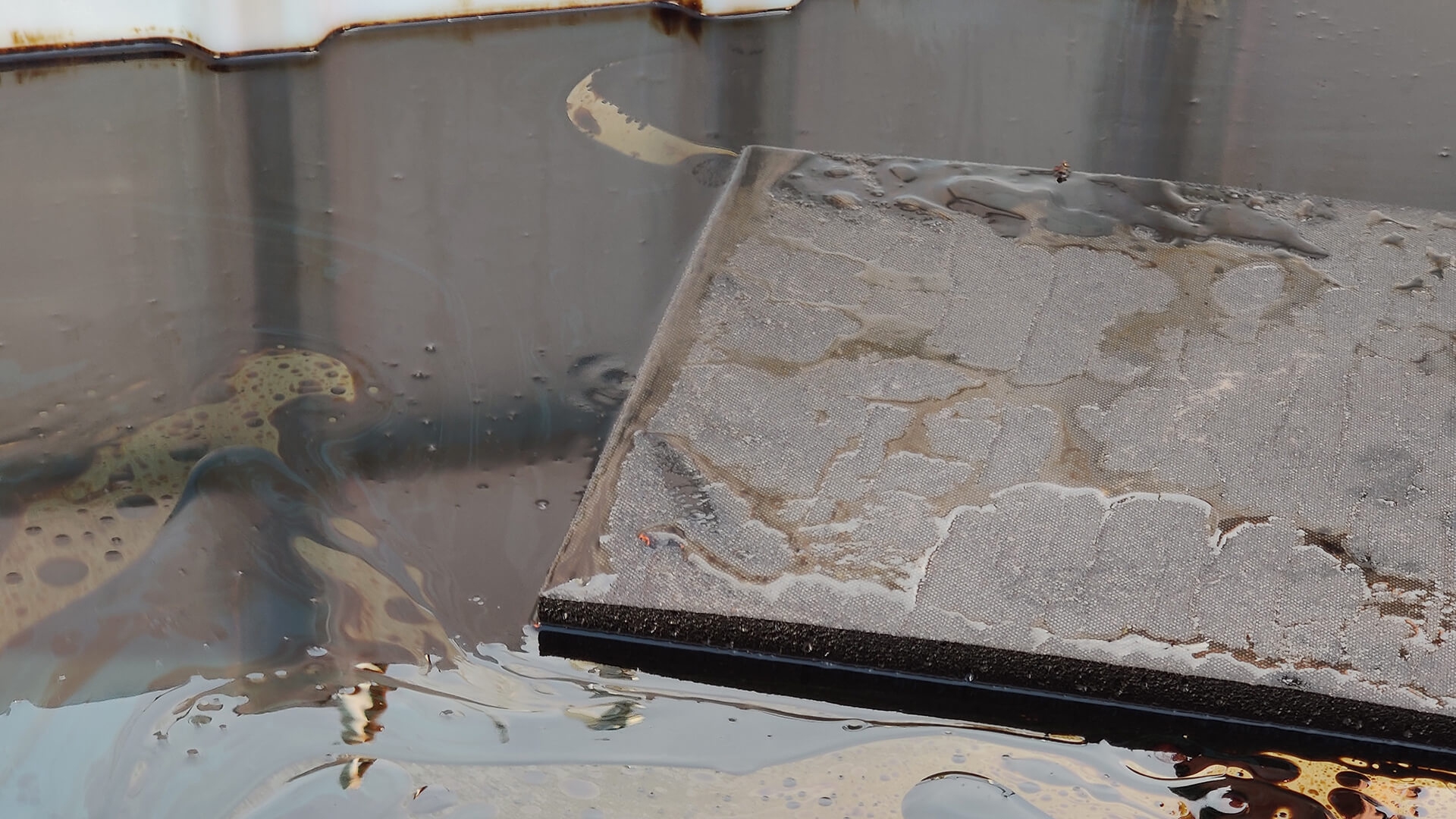 Spugne che assorbono gli idrocarburi