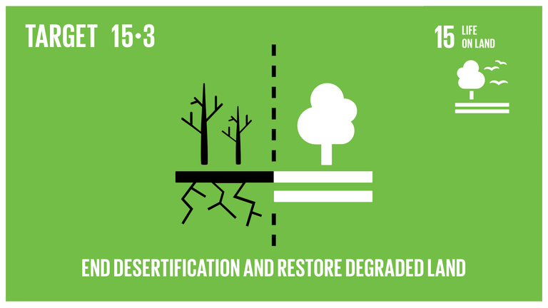 Agenda 2030, lotta alla desertificazione, obiettivi di sviluppo sostenibile
