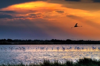 Dove si trovano le saline in Italia