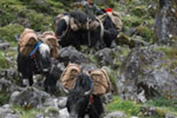 PIL o FIL? L’ottimo caso Bhutan