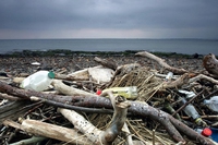 Plastica negli oceani, i ricercatori delle Hawaii hanno scoperto “cose che noi umani”