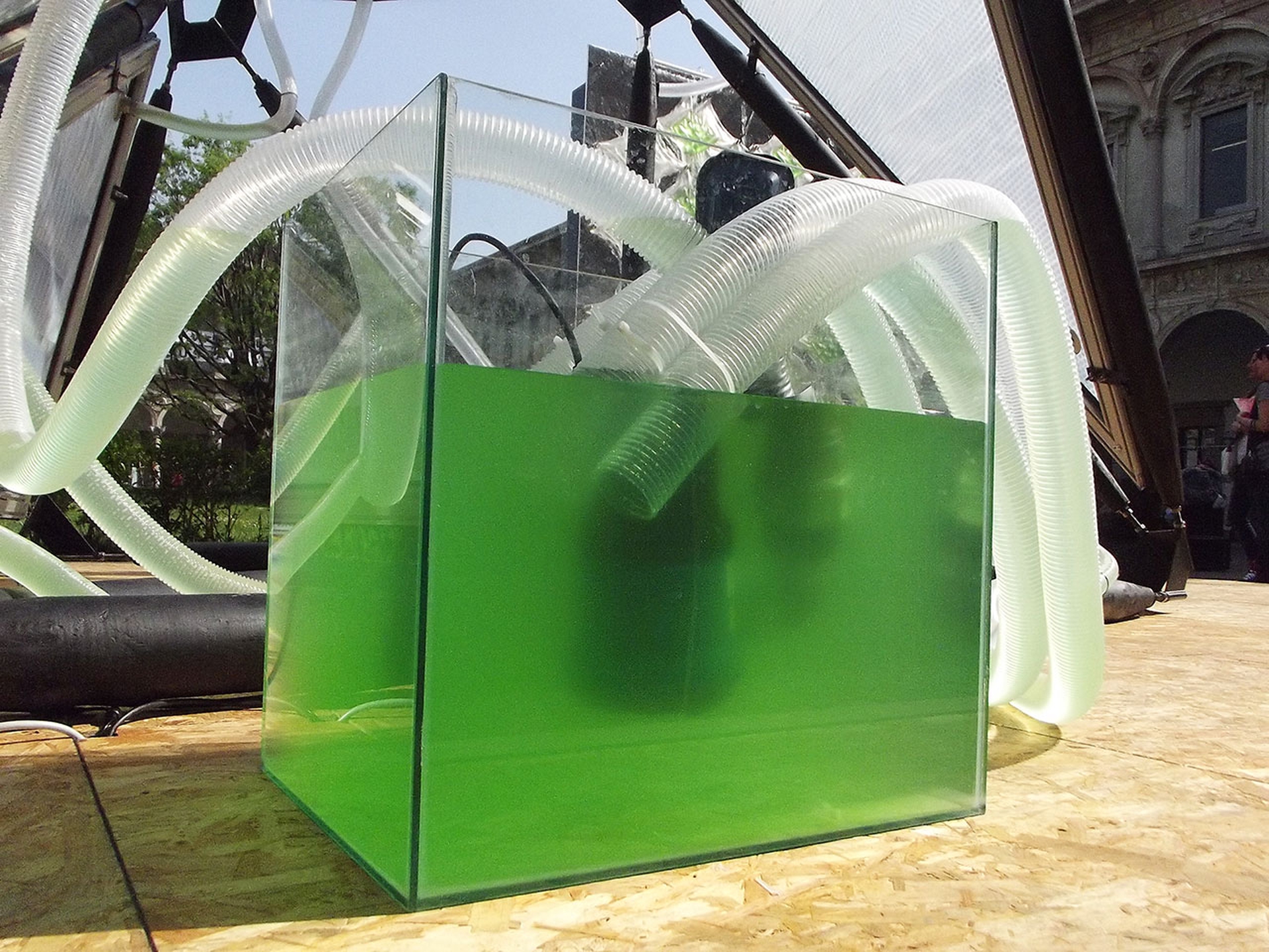 Urban Algae Canopy by Carlo Ratti