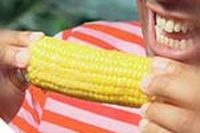 Mais OGM: la Commissione europea dice si