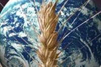 FAO, nessun segnale di crisi