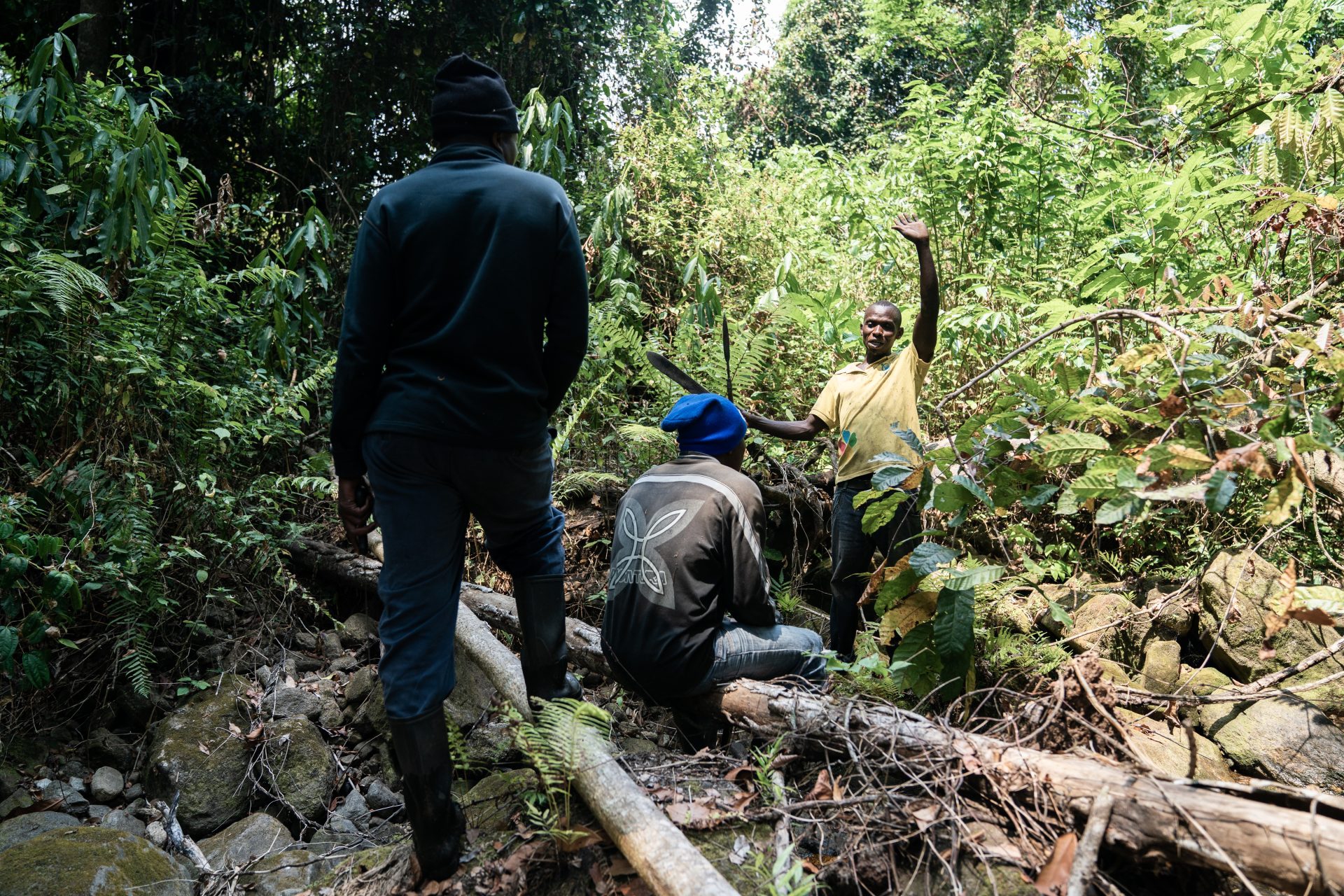 Il progetto di riforestazione Udzungwa corridor limited in Tanzania