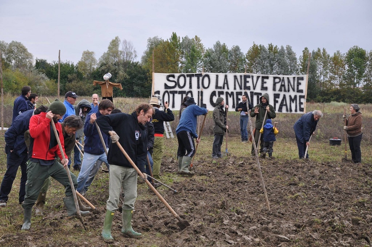 campo