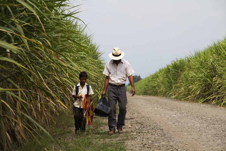 un-mondo-fragile-la-tierra-y-la-sombra-manuel-alfonso