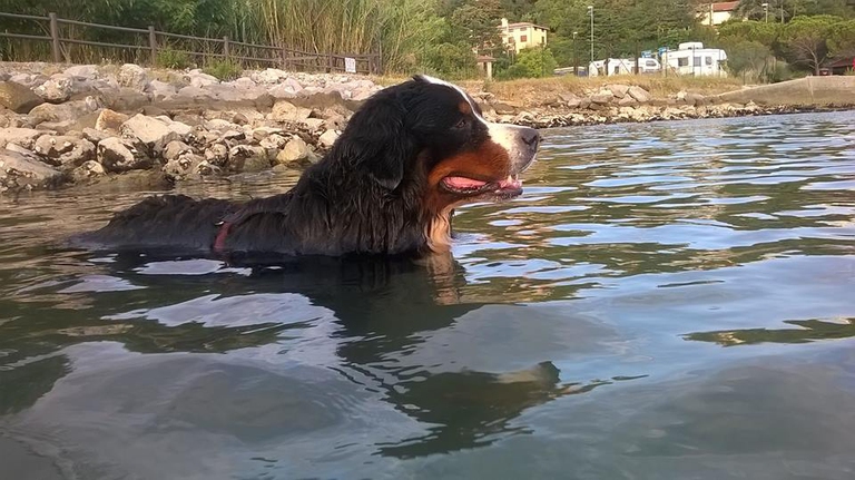 13775930_10207390868949984_4561946612863038367_n