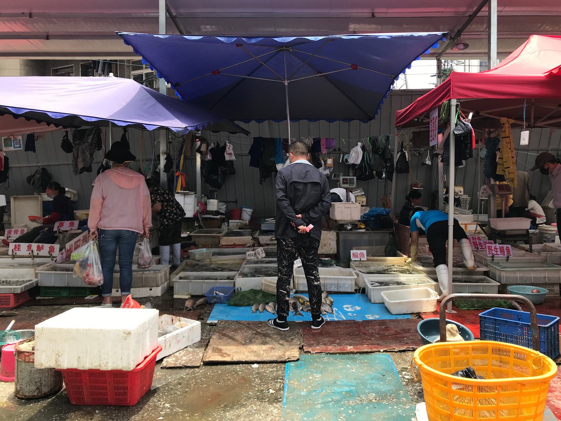 Un’immagine dai wet market in Cina