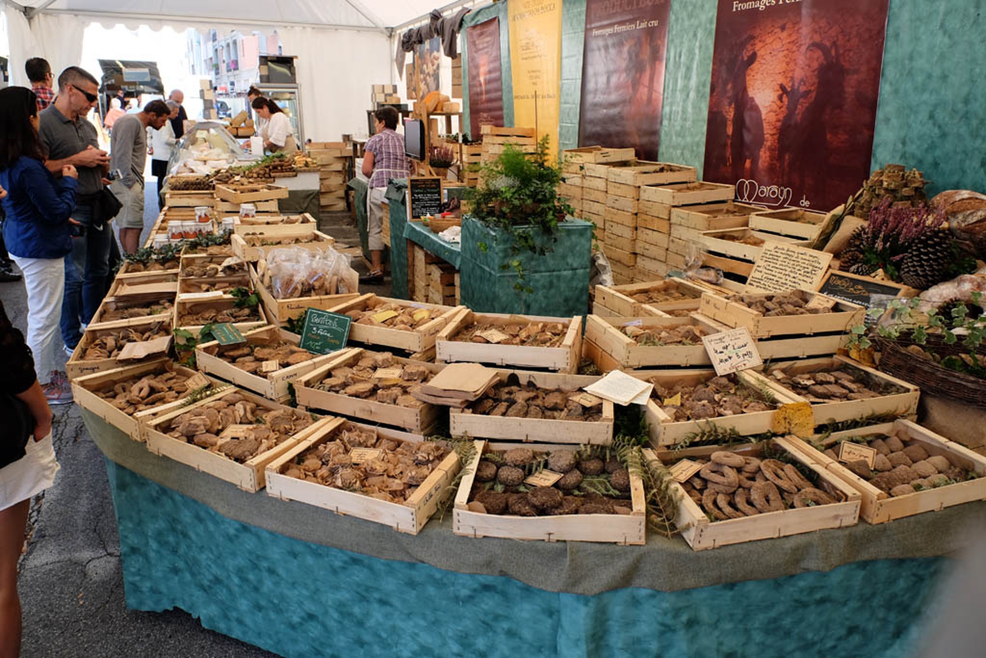 cassette formaggio MCMP4570