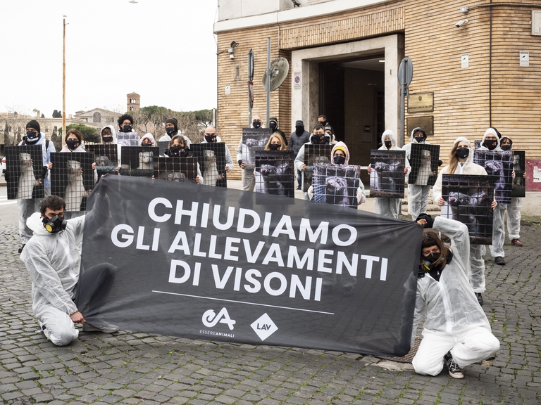 La manifestazione di Essere Animali e Lav 