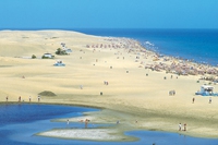 A Greening the Islands cambiamenti climatici e migrazione