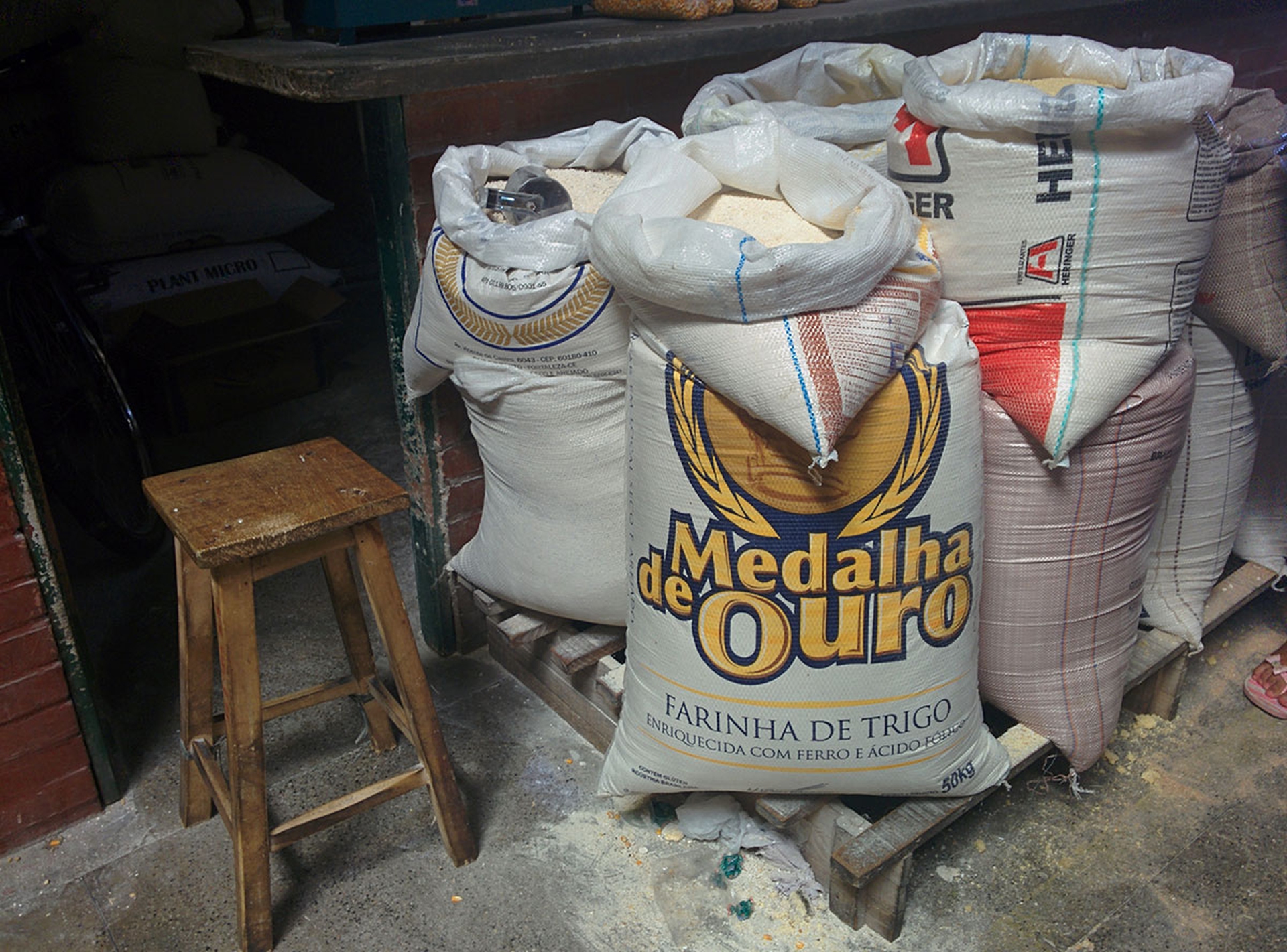 Brasile. Viaggio tra dune, villaggi di pescatori e spiagge infinite