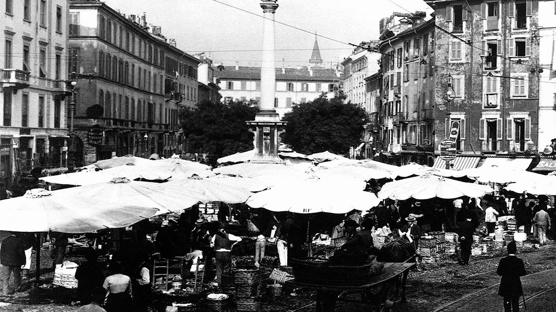 Piazze di Milano con gli alberi