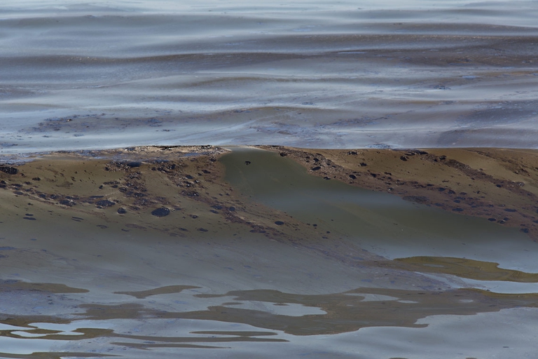 Il petrolio ha contaminato l'acqua © David McNew / Getty Images