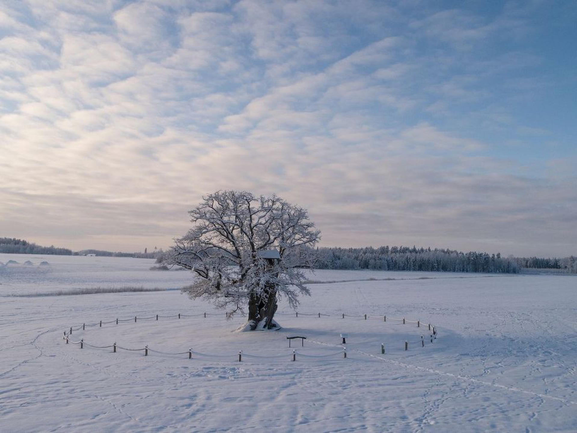 Latvia_credit_Janis_Ence